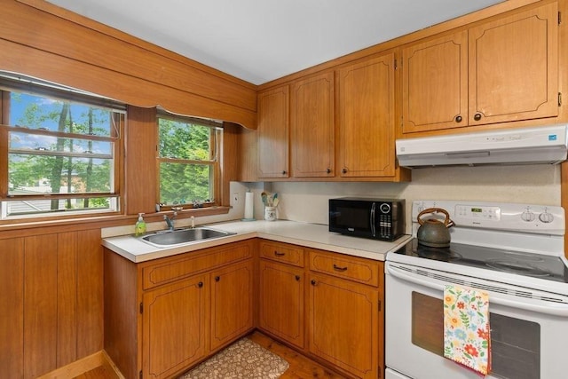 299 Appleton St, Arlington, MA 02476 - kitchen with white electric range, extractor fan, black microwave, and light countertops