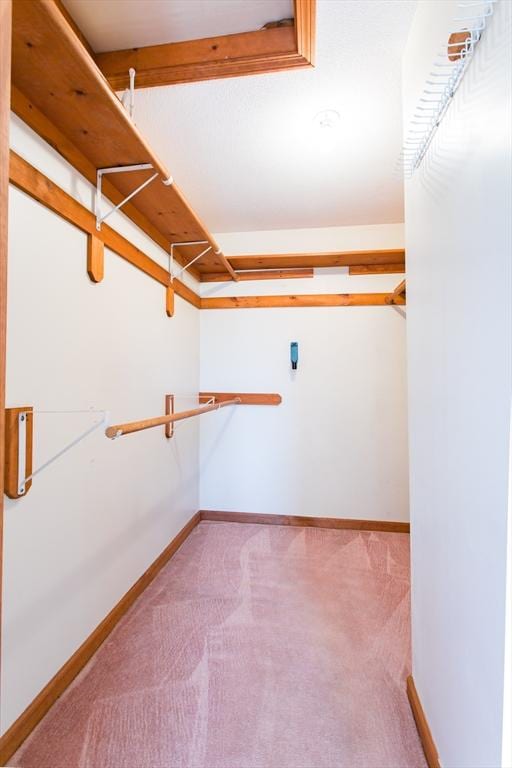walk in closet with carpet flooring