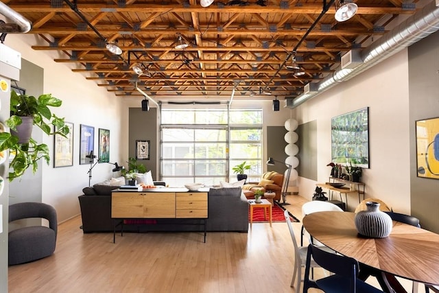 living room featuring light wood finished floors