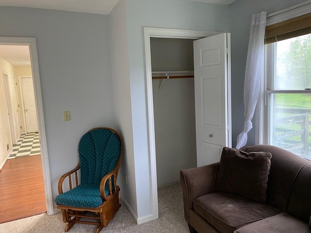 14 Plain Rd E Unit B, Deerfield, MA 01373 - living area with baseboards and carpet