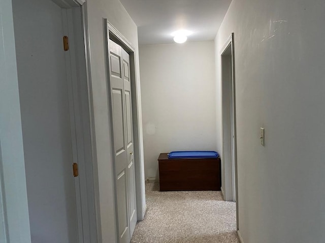 14 Plain Rd E Unit B, Deerfield, MA 01373 - corridor featuring light carpet