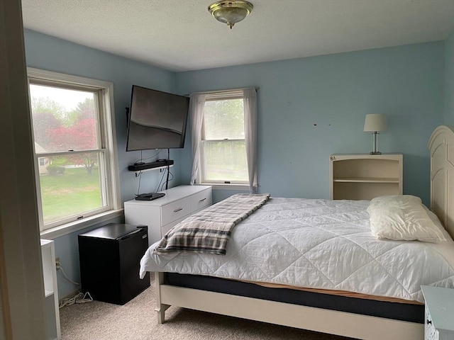 14 Plain Rd E Unit B, Deerfield, MA 01373 - bedroom with light colored carpet and black fridge