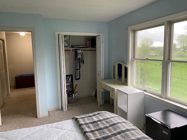 14 Plain Rd E Unit B, Deerfield, MA 01373 - bedroom featuring light carpet, a closet, and baseboards