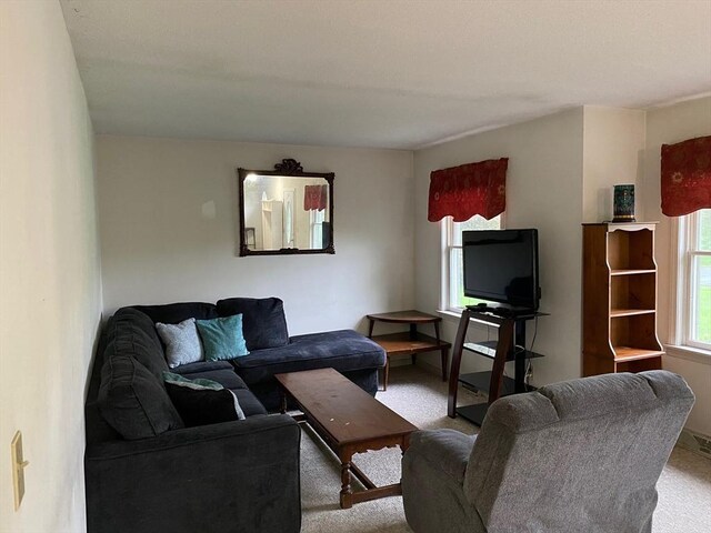 14 Plain Rd E Unit B, Deerfield, MA 01373 - living room with carpet flooring and baseboards