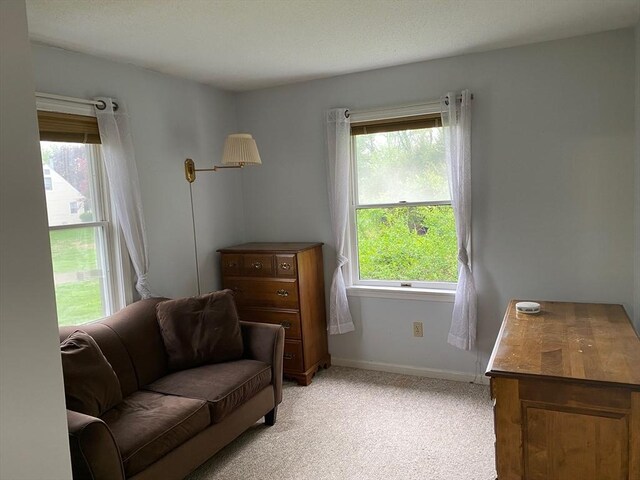 14 Plain Rd E Unit B, Deerfield, MA 01373 - living area with healthy amount of natural light, light carpet, and baseboards