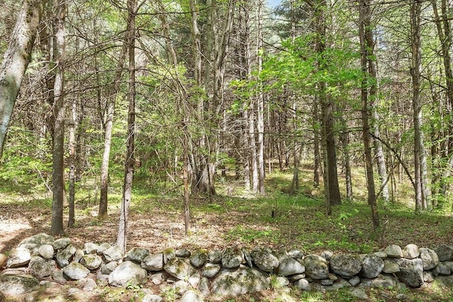 114 Hunters Ridge Rd, Concord, MA 01742 - view of wooded area