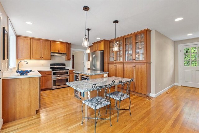 114 Hunters Ridge Rd, Concord, MA 01742 - kitchen featuring appliances with stainless steel finishes, under cabinet range hood, a sink, light wood-type flooring, and a kitchen island