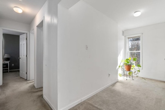 hallway with carpet flooring