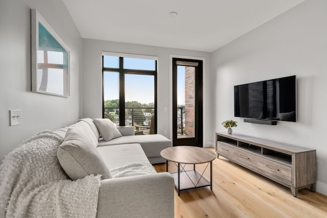 living room featuring hardwood / wood-style floors