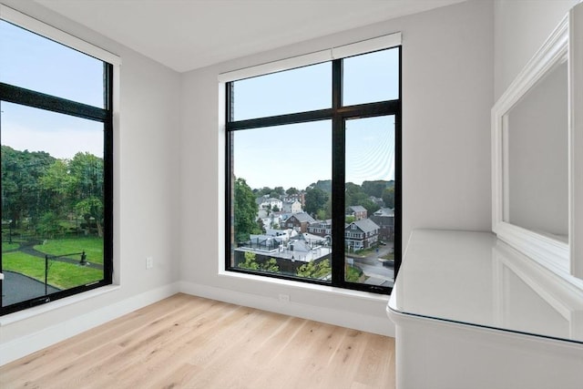 spare room featuring a wealth of natural light, baseboards, and wood finished floors