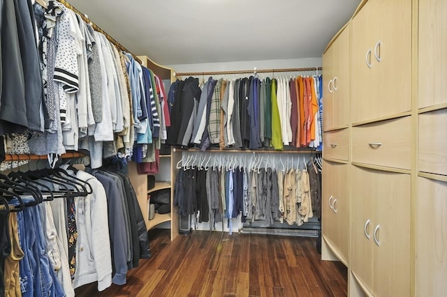 walk in closet with dark wood-style flooring