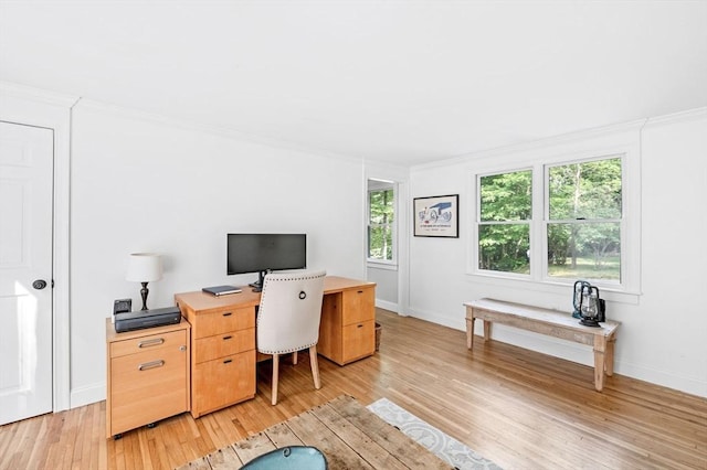 17 High St, Merrimac, MA 01860 - office space featuring light wood-style flooring, baseboards, and ornamental molding