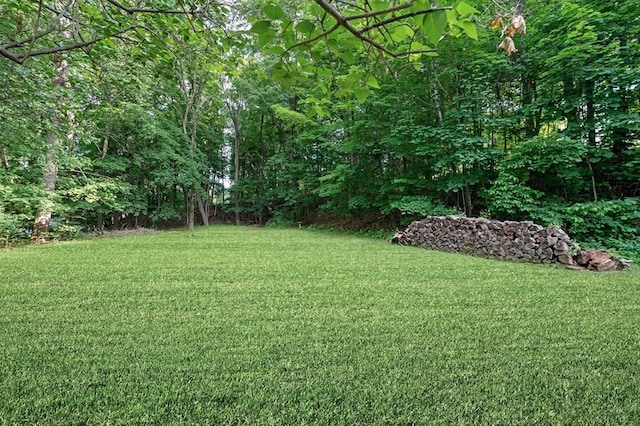 17 High St, Merrimac, MA 01860 - view of green lawn