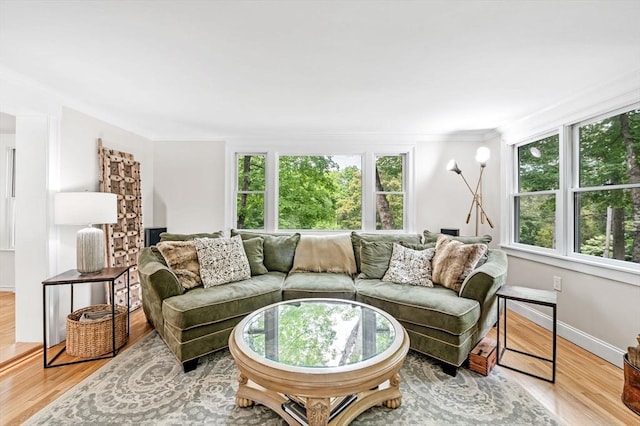 17 High St, Merrimac, MA 01860 - living room with plenty of natural light, light wood-type flooring, ornamental molding, and baseboards