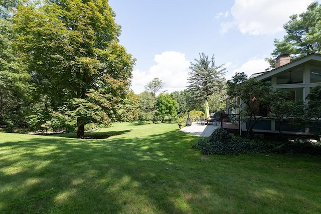 view of yard featuring a patio area