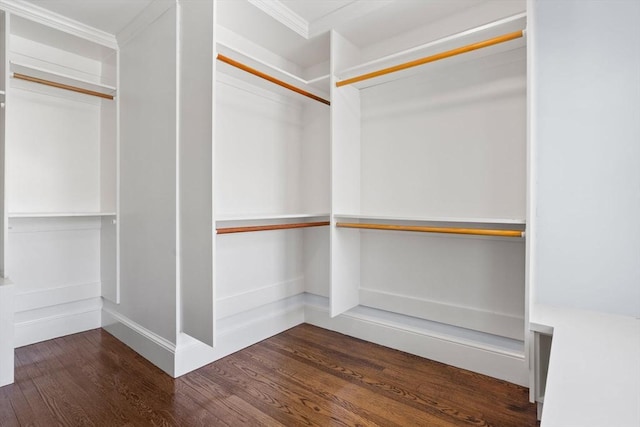 spacious closet with dark wood-type flooring