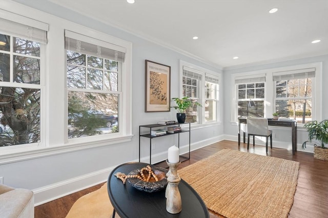 interior space with wood-type flooring, a wealth of natural light, and crown molding