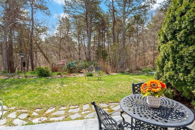 view of yard featuring a patio