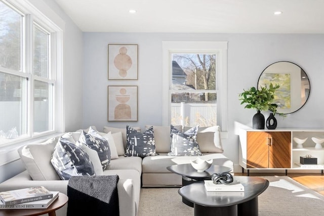 living room featuring light hardwood / wood-style flooring