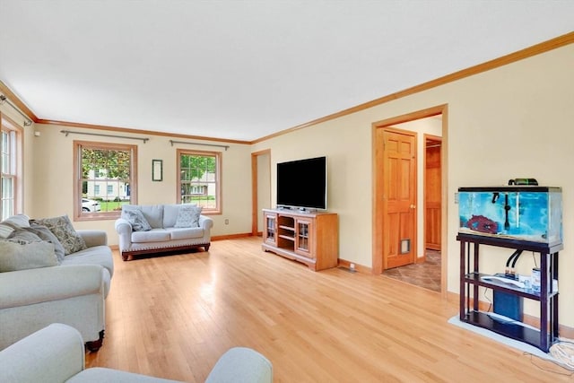 5 Evergreen Cir, Wilbraham, MA 01095 - living area with crown molding, light wood finished floors, and baseboards