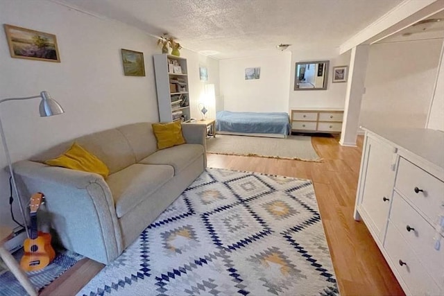 120 Tracy Cir, Amherst, MA 01002 - living room with light wood-type flooring and a textured ceiling