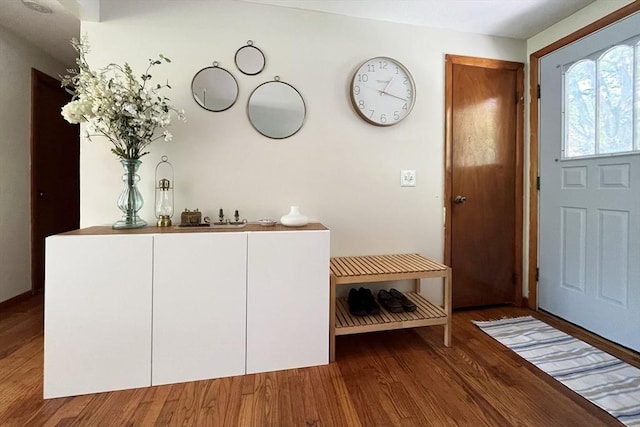 120 Tracy Cir, Amherst, MA 01002 - entrance foyer with wood finished floors