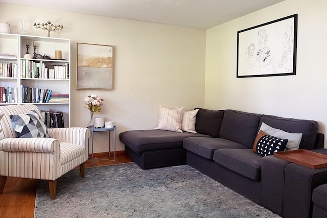 120 Tracy Cir, Amherst, MA 01002 - view of living room