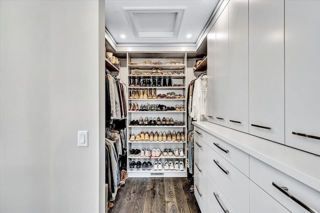 spacious closet featuring dark wood finished floors