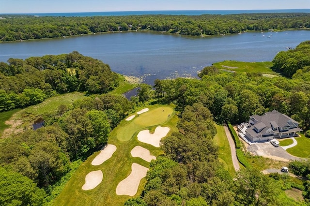 birds eye view of property featuring a forest view and a water view