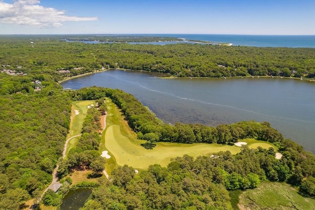 bird's eye view featuring a forest view and a water view