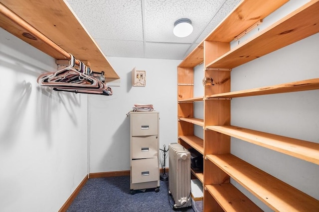 interior space featuring radiator heating unit