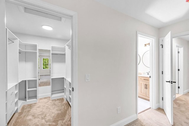 105 Forest Ave, Warren, MA 01585 - walk in closet featuring light carpet and attic access