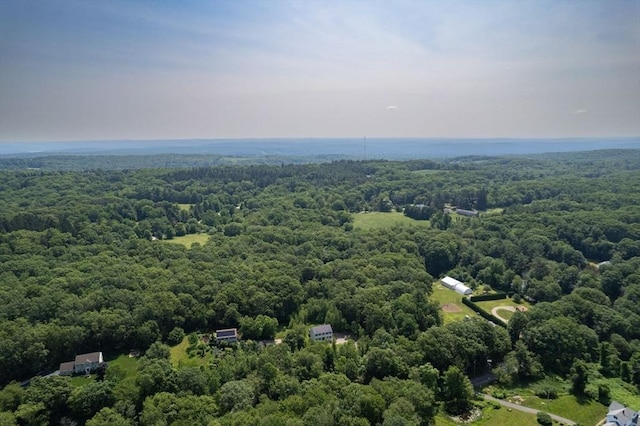 105 Forest Ave, Warren, MA 01585 - bird's eye view of a heavily wooded area
