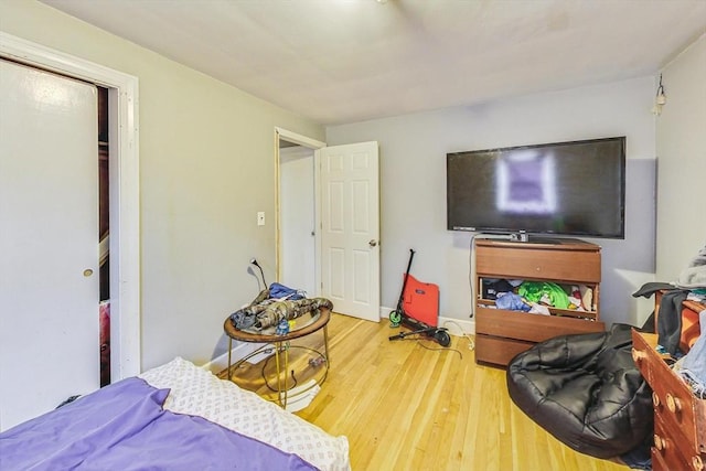 bedroom featuring wood-type flooring