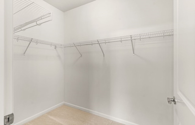 walk in closet featuring carpet