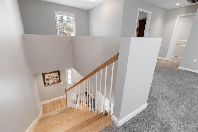 stairs featuring carpet floors