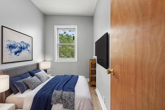 309 E Eagle St, Boston, MA 02128 - bedroom featuring wood finished floors and radiator