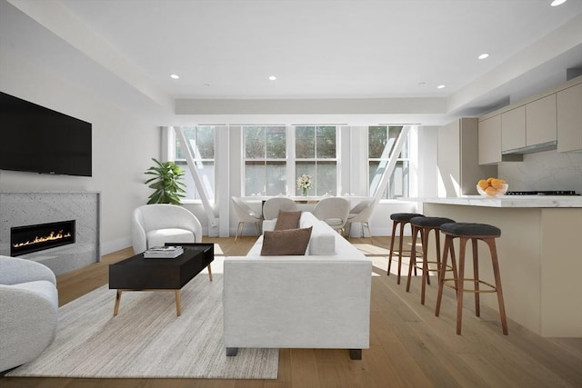 living room with light wood-type flooring, a fireplace, and a wealth of natural light