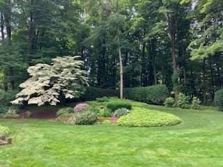 55 Longfellow Rd, Holyoke, MA 01040 - view of grassy yard