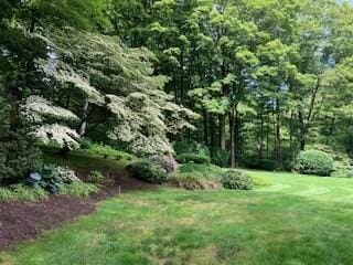 55 Longfellow Rd, Holyoke, MA 01040 - view of green lawn
