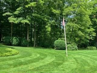 55 Longfellow Rd, Holyoke, MA 01040 - view of property's community featuring a yard