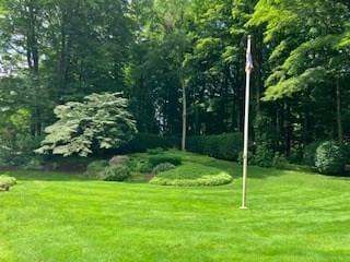 55 Longfellow Rd, Holyoke, MA 01040 - view of community featuring a yard