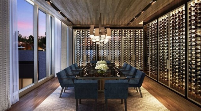 wine cellar with wood-type flooring