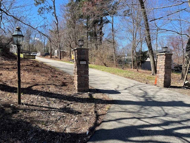 view of street featuring street lighting and driveway