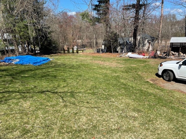view of yard