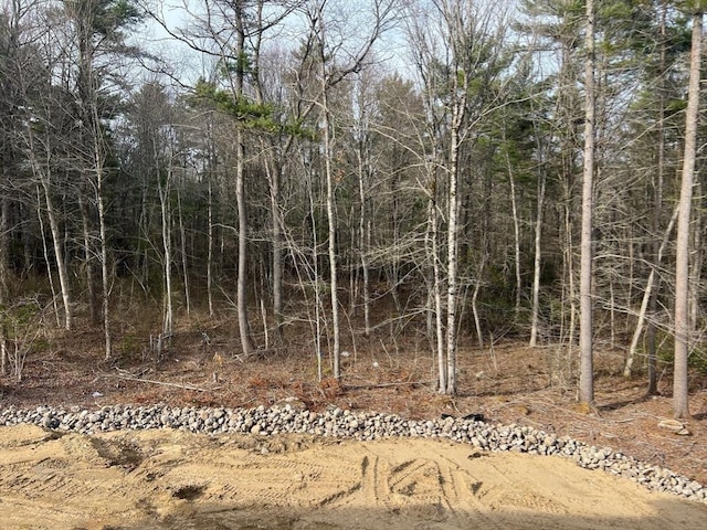 32 John Perkins Way, Middleboro, MA 02346 - view of nature