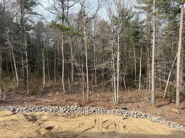 32 John Perkins Way, Middleboro, MA 02346 - view of local wilderness