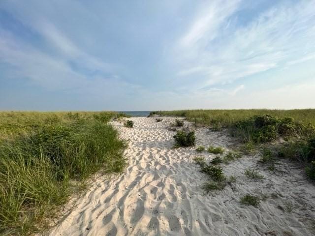 view of local wilderness