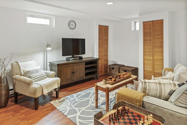 living room featuring hardwood / wood-style flooring