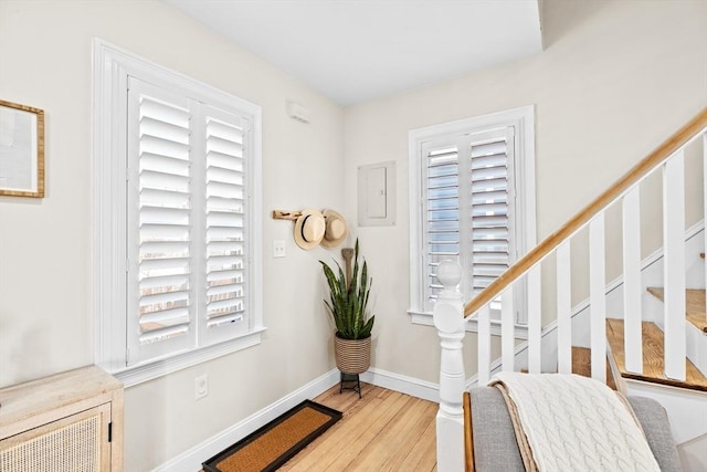 entryway featuring plenty of natural light, electric panel, and light wood-type flooring